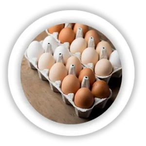 Eggs