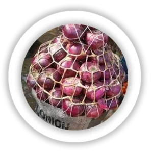 Onion